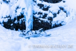 Winterfotokurs in Schweden
