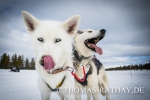 Winterfotokurs in Schweden