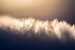 Winterfotokurs in Schweden