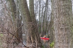 Paddeln im Wald