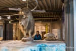 Bodensee Naturmuseum Konstanz