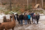 Gruppenbild mit Lama