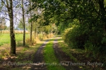 Wandern mit Ziegen im Oderbruch