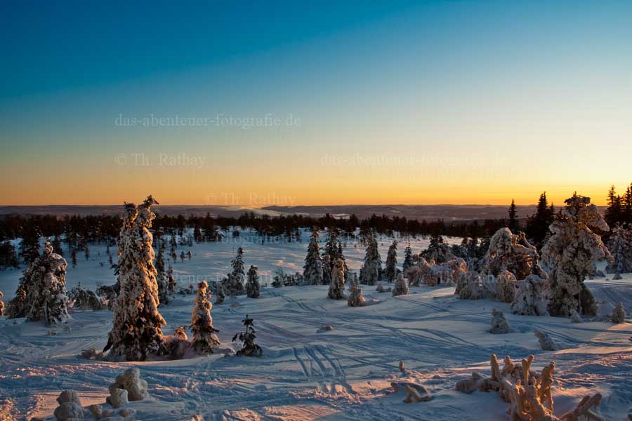 Winter Fotokurs in Schweden