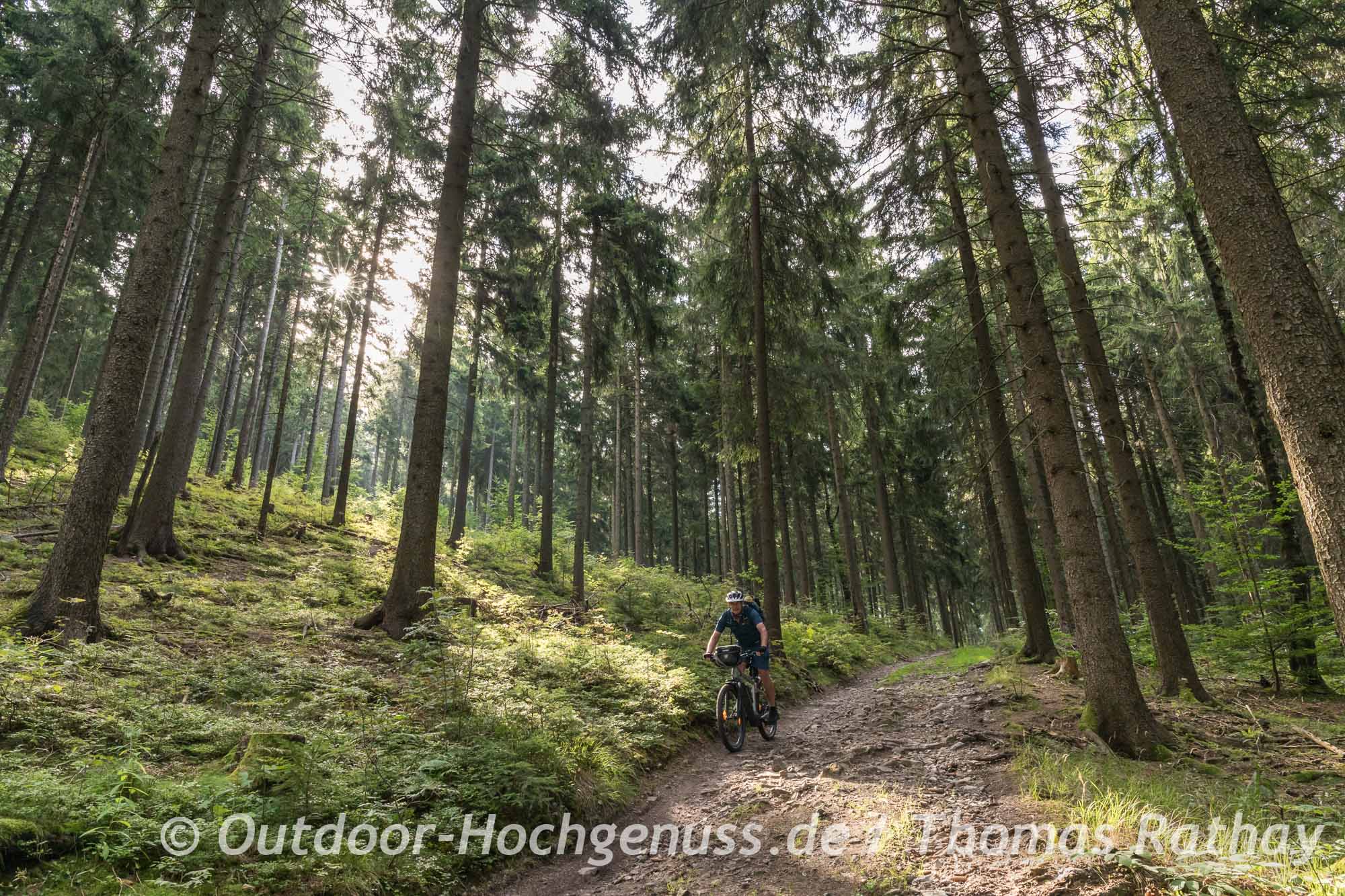 Mountainbiker im Wald auf der Blockline