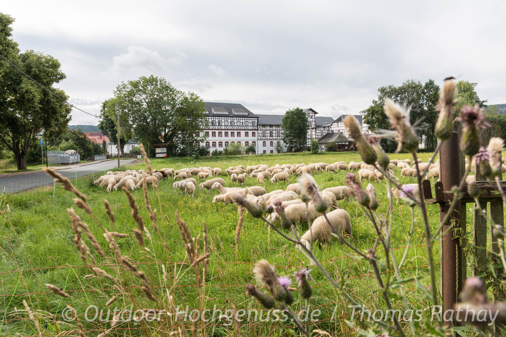 Der Ilmtal-Radweg - unterwegs auf dem Radfernweg in Thüringen Radfahren auf dem Ilmtal-Radweg