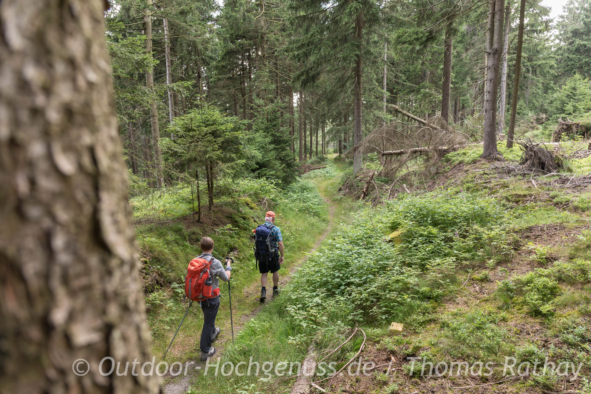 Zweitageswanderung auf dem Thüringer Gipfelwanderweg Waldpfad in Thüringen