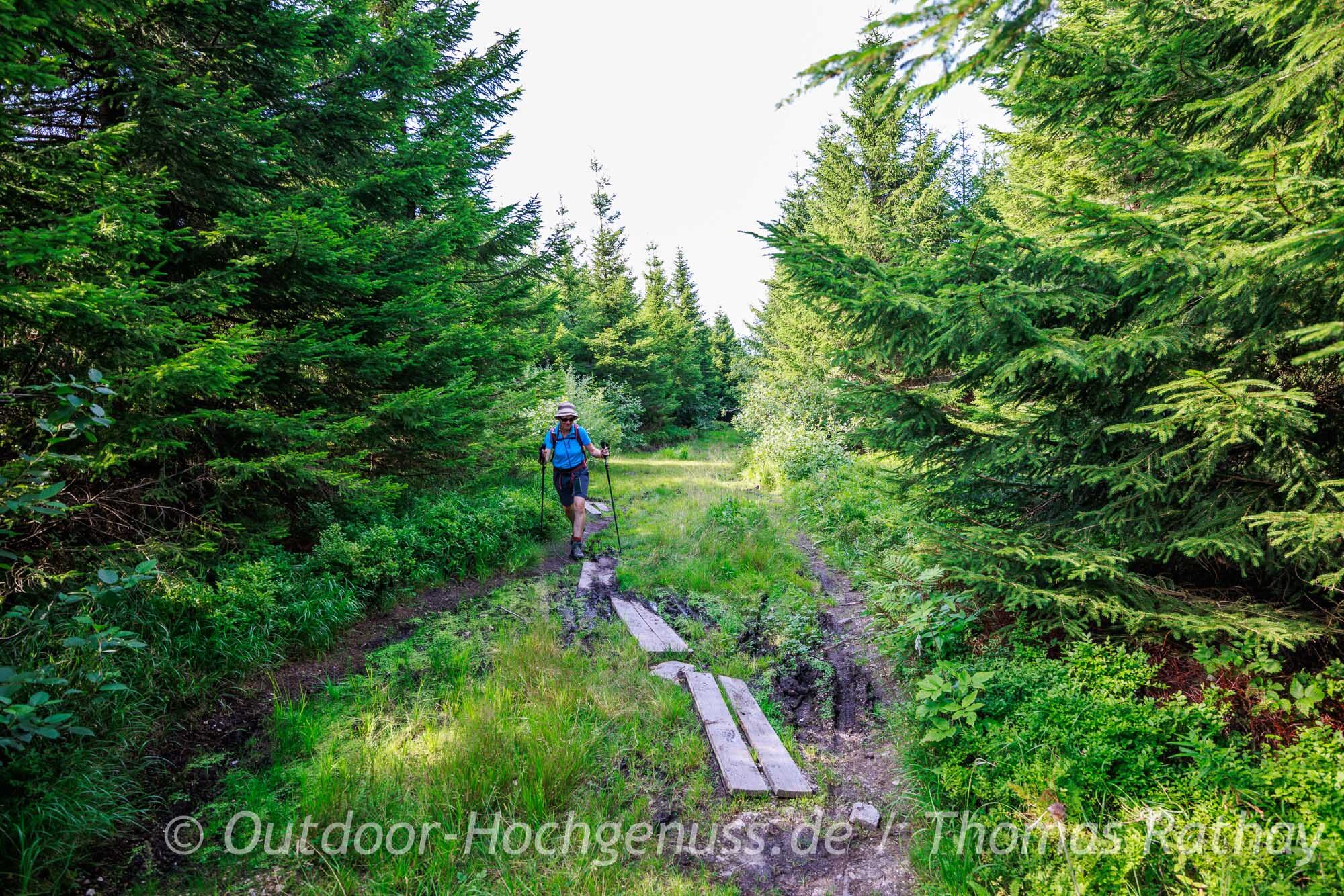 Wanderung auf dem Kammweg im Erzgebirge