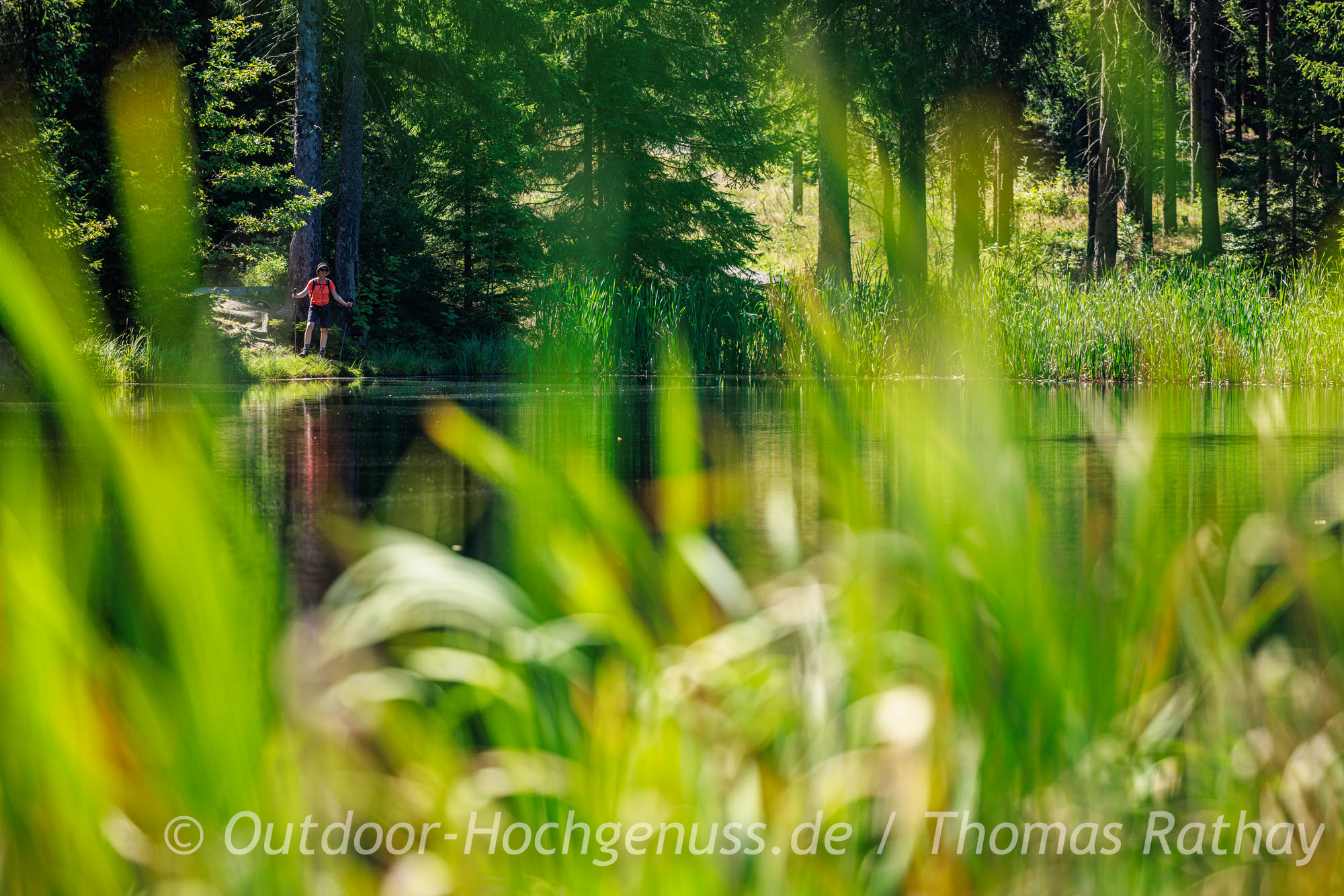 Naturnaher Wanderweg im Erzgebirge entlang des historischen Kammwegs Wanderung auf dem Kammweg im Erzgebirge