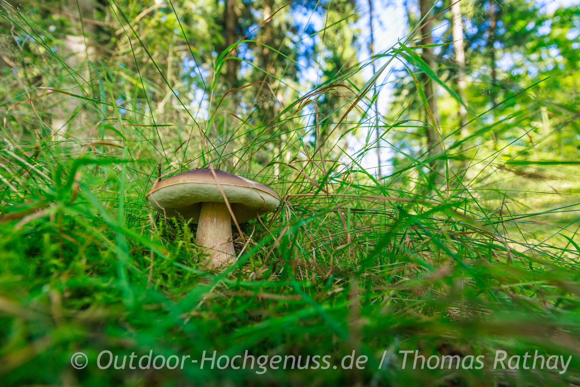 Wanderung auf dem Kammweg im Erzgebirge