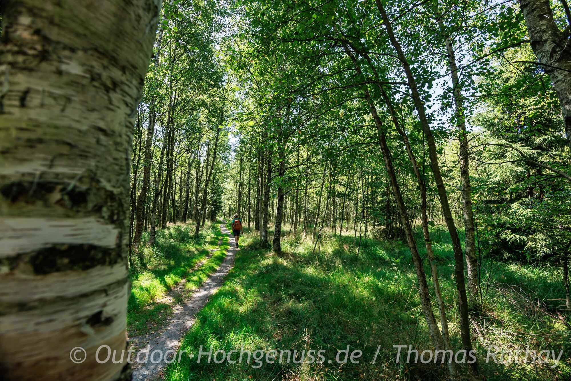 Wanderung auf dem Kammweg im Erzgebirge