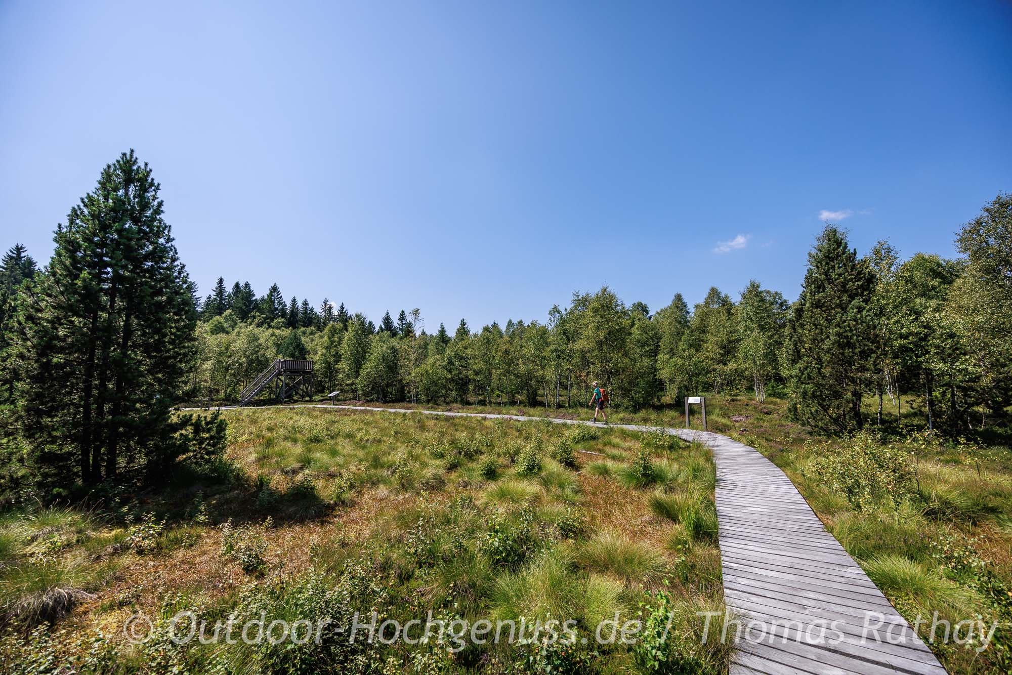 Abstecher ins Moorgebiet auf dem Kammweg Erzgebirge – Bohlenweg und Moorlandschaft Wanderung auf dem Kammweg im Erzgebirge