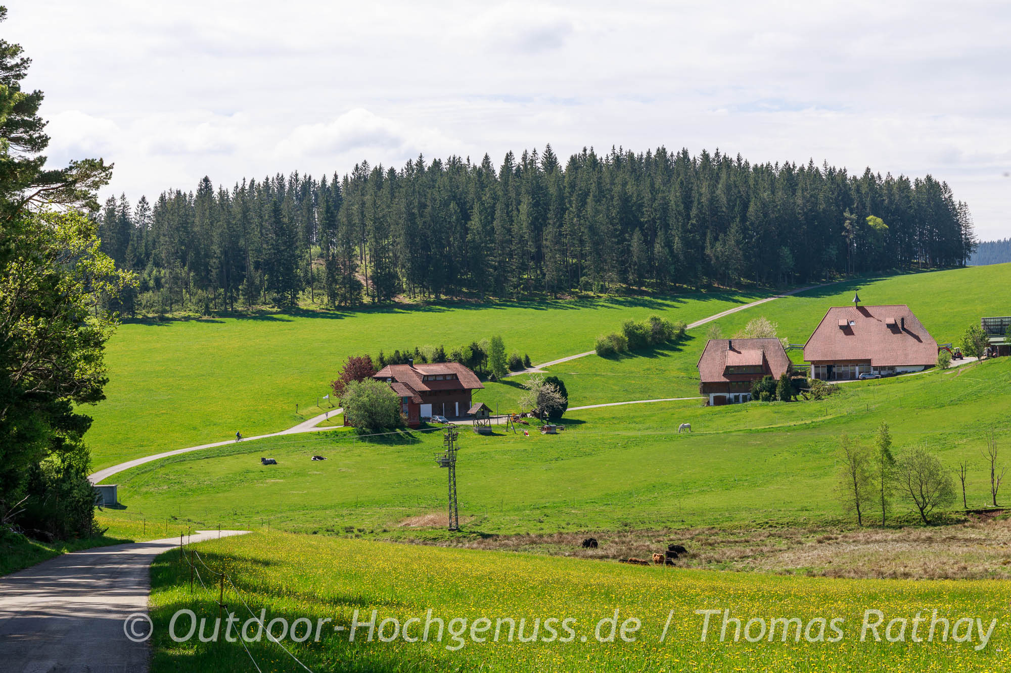 Schwarzwaldidylle pur auf der Uhren-Route im Rad- und WanderParadies Schwarzwald und Alb