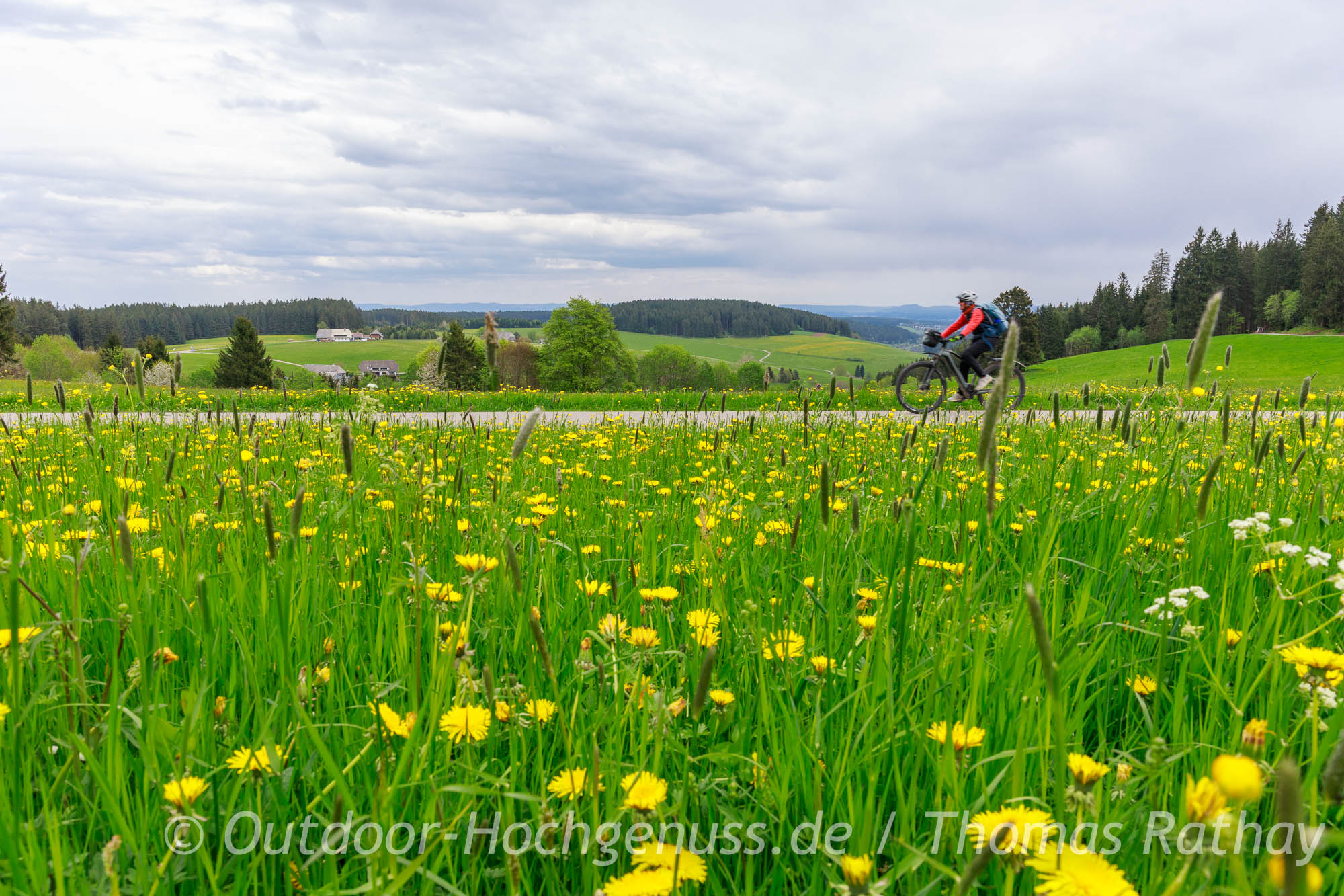 Wunderbares Wiesenradeln auf der Radtour Uhren-Route im Rad- und WanderParadies Schwarzwald und Alb