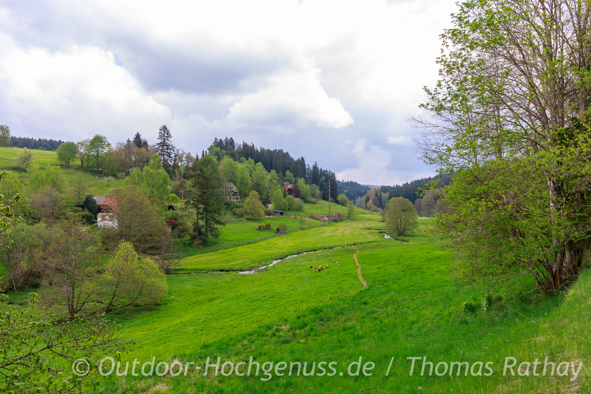 Die Uhren-Route im Rad- und WanderParadies Schwarzwald und Alb zeigt den Blick ins Glasbachtal
