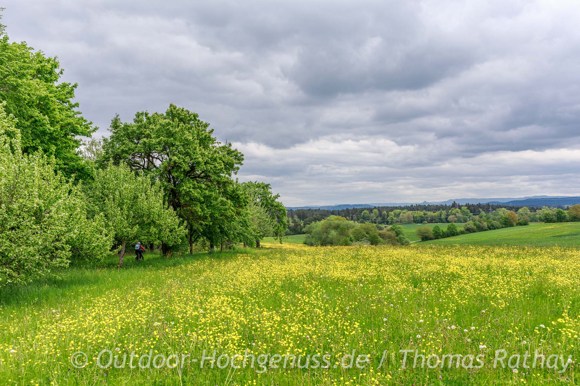 Blühender Radweg mit Blick auf die Burg Hohenzollern auf dem Radweg "An Neckar und Glatt" im Rad- und WanderParadies Schwarzwald und Alb