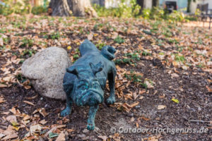 Mopsfidel in Brandenburg an der Havel