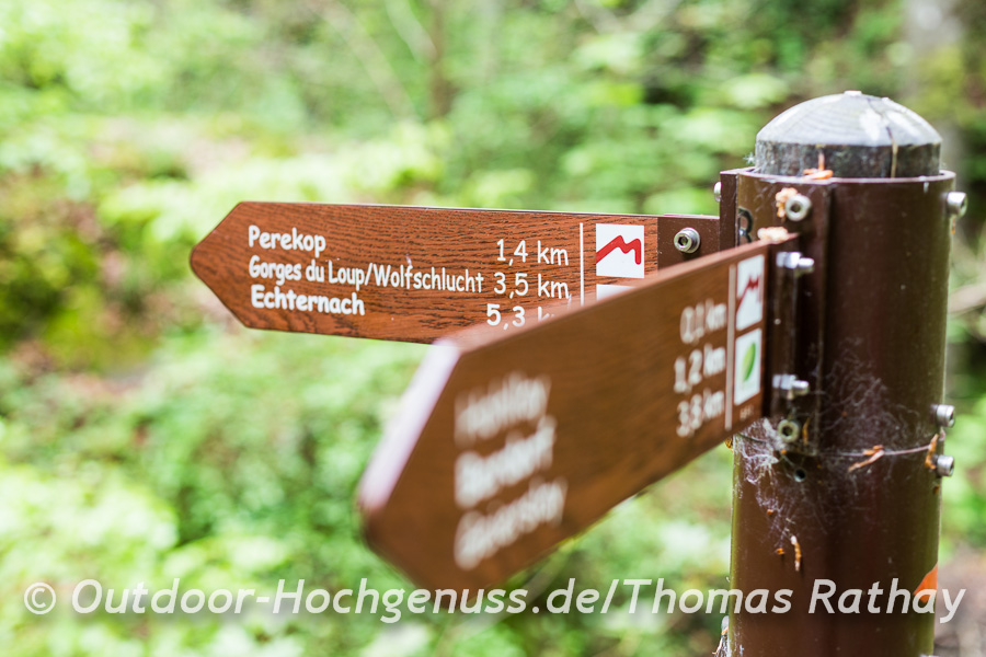 Wandern auf dem Mullerthal Trail